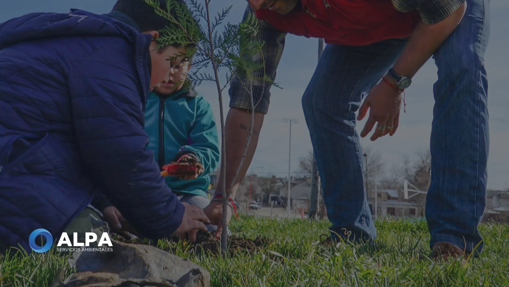 Sumate a la campaña “1 millón de árboles” en Argentina